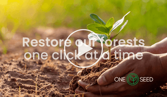 OneSeed regenerative reforestation.png